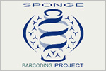 Sponge Barcoding Project