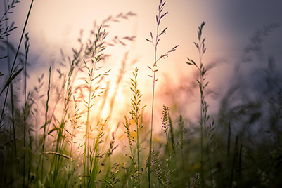 adobestock_316930710_3_2_535
