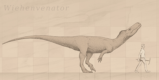 wiehenvenator_530