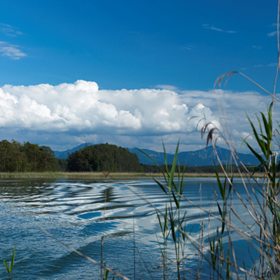 ecobay_see